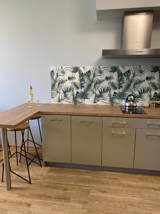 2 Tyskie Apartamenty Z Ogrodkiem Tychy Exteriér fotografie